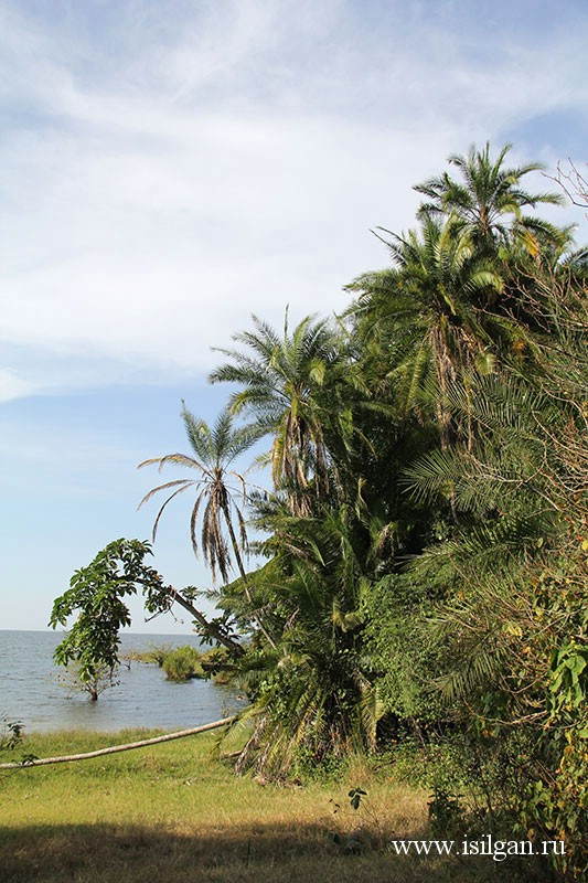 Национальный парк Рубондо. Озеро Виктория. Танзания.