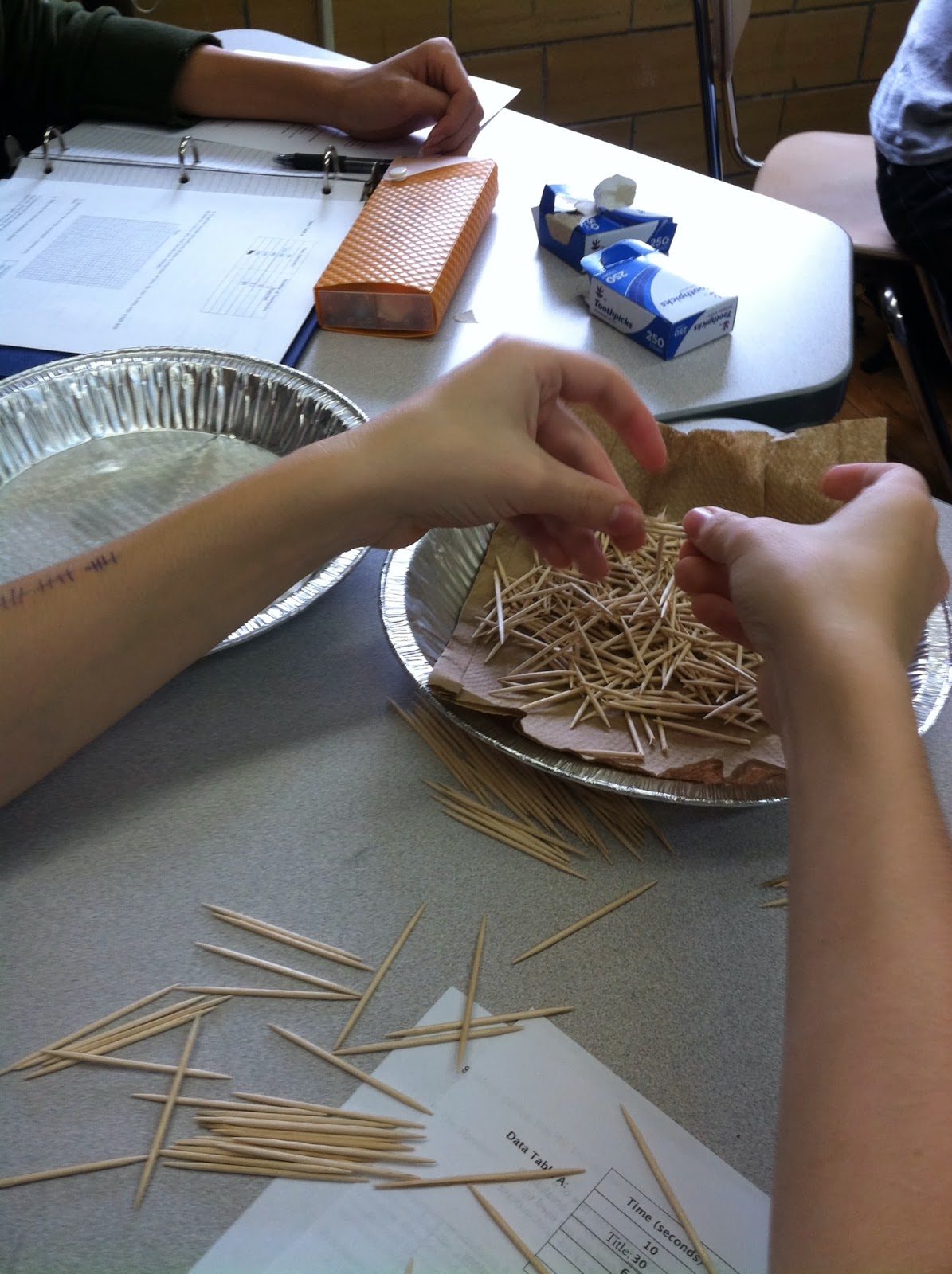 Margarita's Biology 20132014 Toothpickase Activity