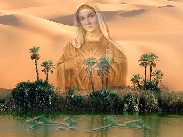 ������ ������� ������� ���� 