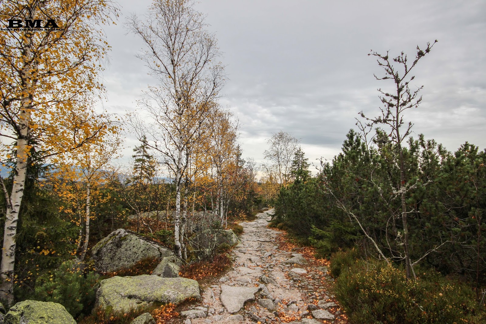 Der Bayerische Wald Erfrischend Naturlich Interessante Orte