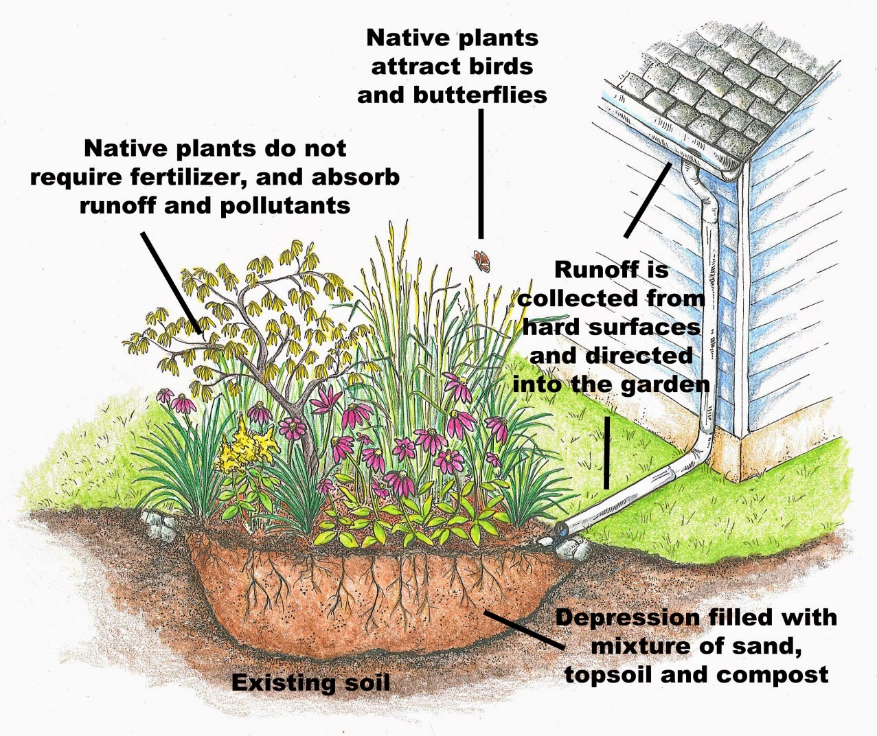 Watershed Wanderings Rain Garden Rebate Program 2015 for Residents of