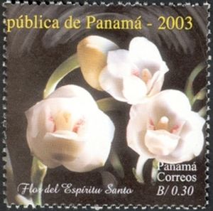 ORQUIDARIO RECREIO : Peristea elata - Orquídea Paloma ou Flor do Espírito  Santo