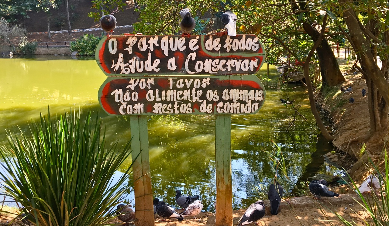 Parque Ecológico Dionísio Alvarez Mateos (Jardim das Flores) ou Parque da  FITO em Osasco ~ Áreas Verdes das Cidades - Guia de Parques