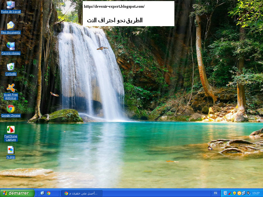 احصل على خلفيات متحركة جميلة ورائعة مجانا على سطح مكتبك