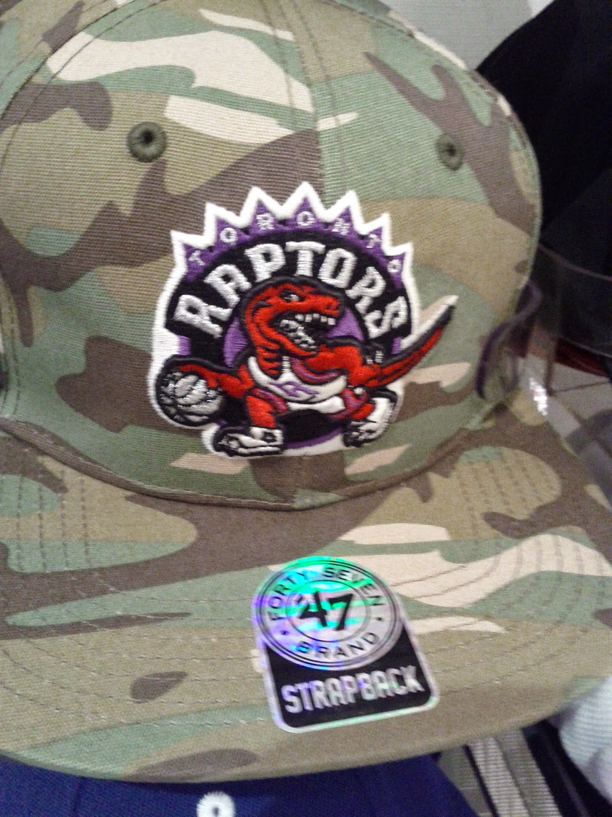 Toronto things: Toronto Raptors Camo hat