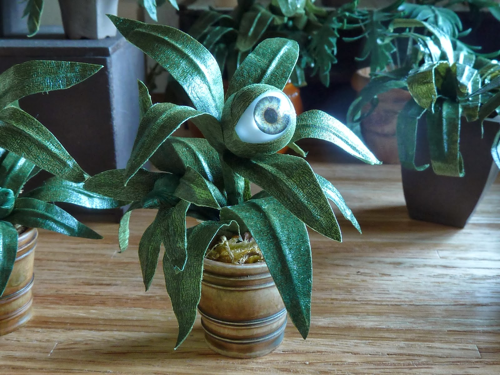 Miranda Wandering Just Between Fronds Where the Plants Have Eyes