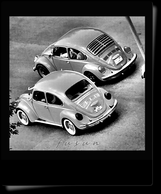 iki kum tanesi 10/01/2011 11/01/2011