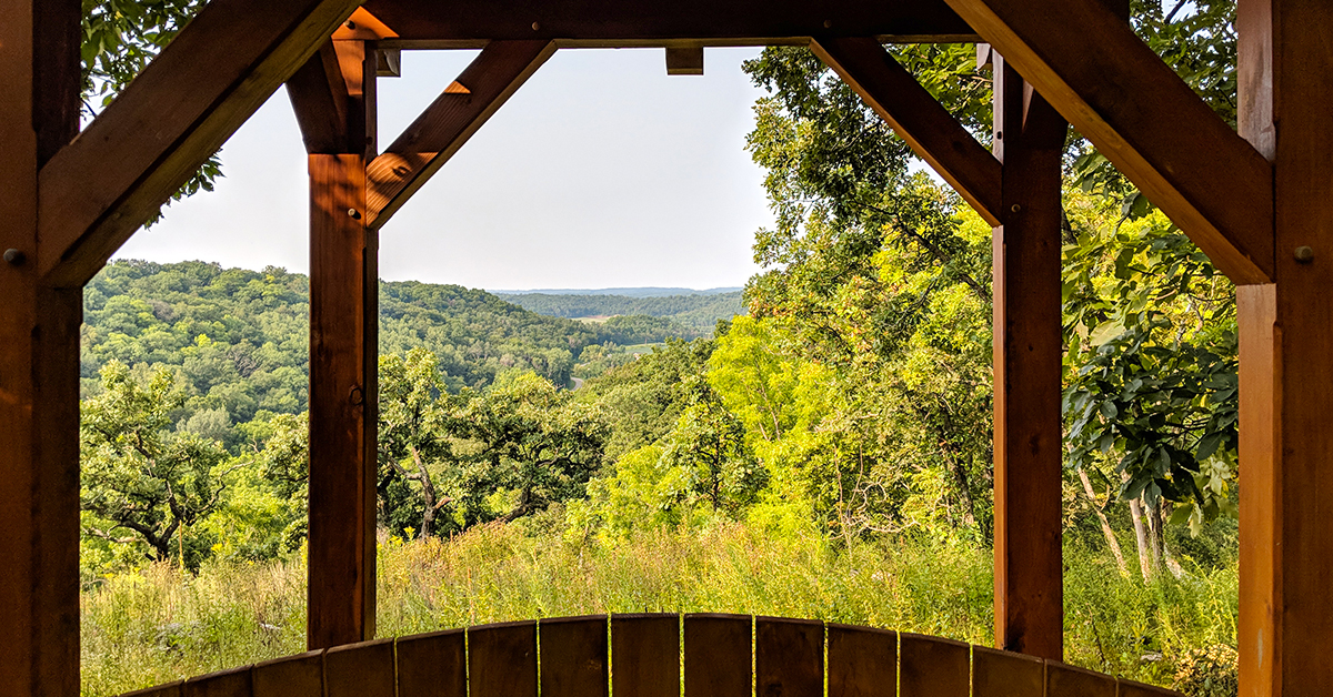 Hiking Morton Forest County Park