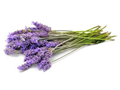 10 uses for lavender oil
