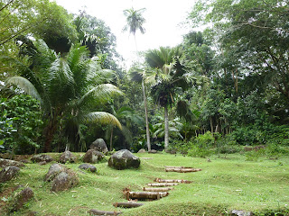 Jardin du Roy - Mahé - Seychelles