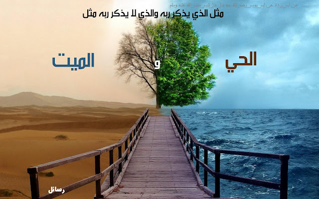 ونحن أقرب إليه من حبل الوريد مدونة ايات الذكر الحكيم