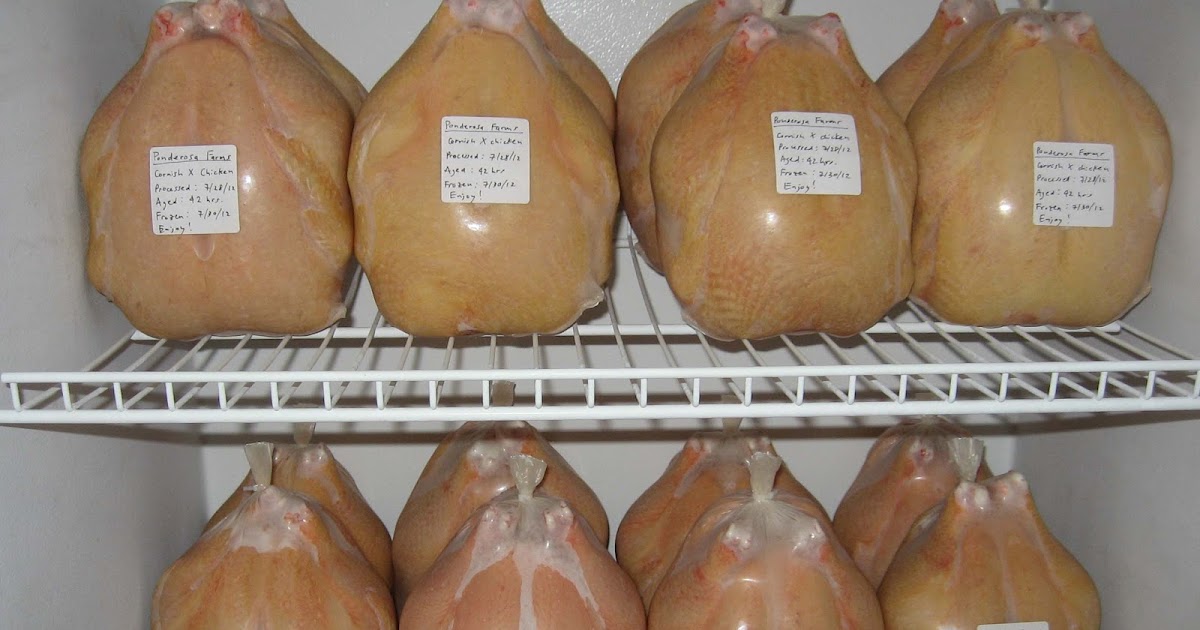 Feedback & New IdeasFor Successful Shrink