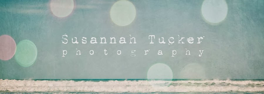 Susannah Tucker Photography