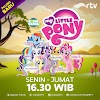 Lirik Lagu My Little Pony