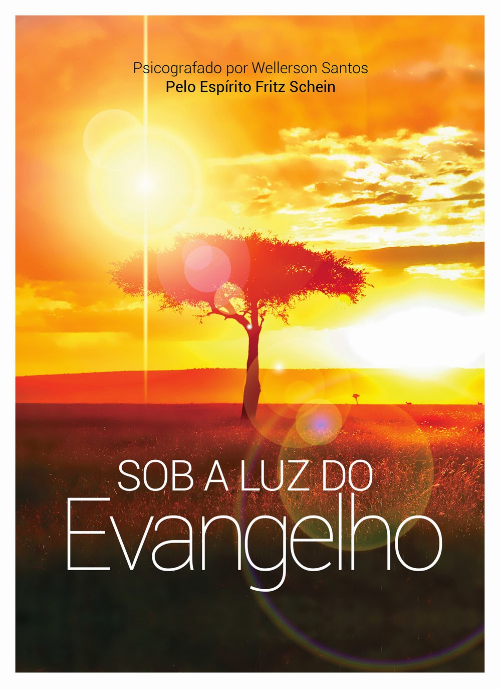 Sob a Luz do Evangelho