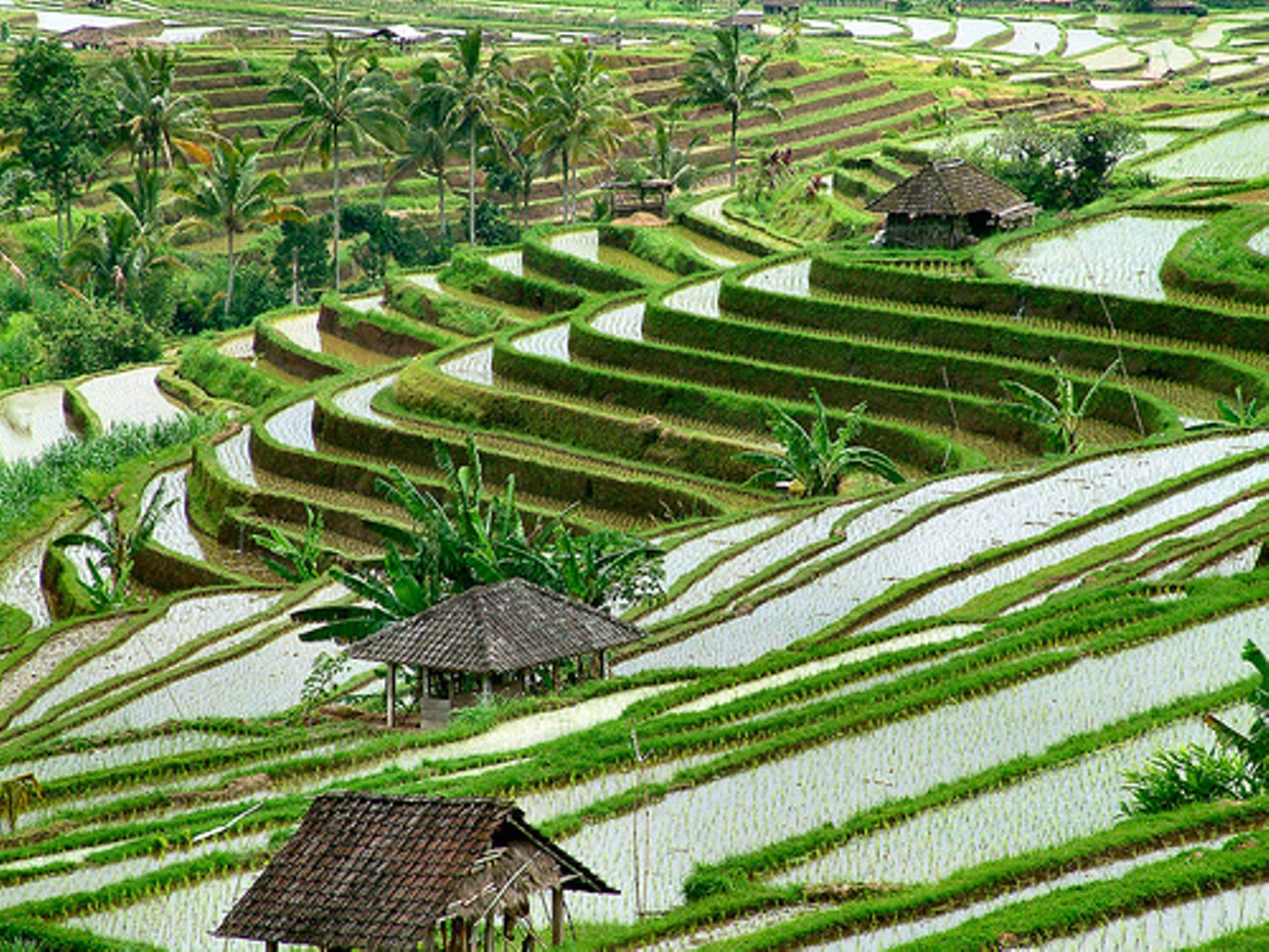 Kumpulan Gambar Pantai Di Bali Indah Foto Pemandangan 