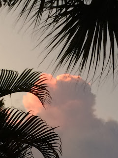 To Know Peace