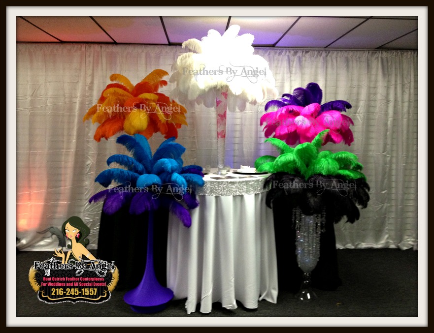 Feather Centerpieces in Cleveland Ohio Ostrich Feather Centerpiece