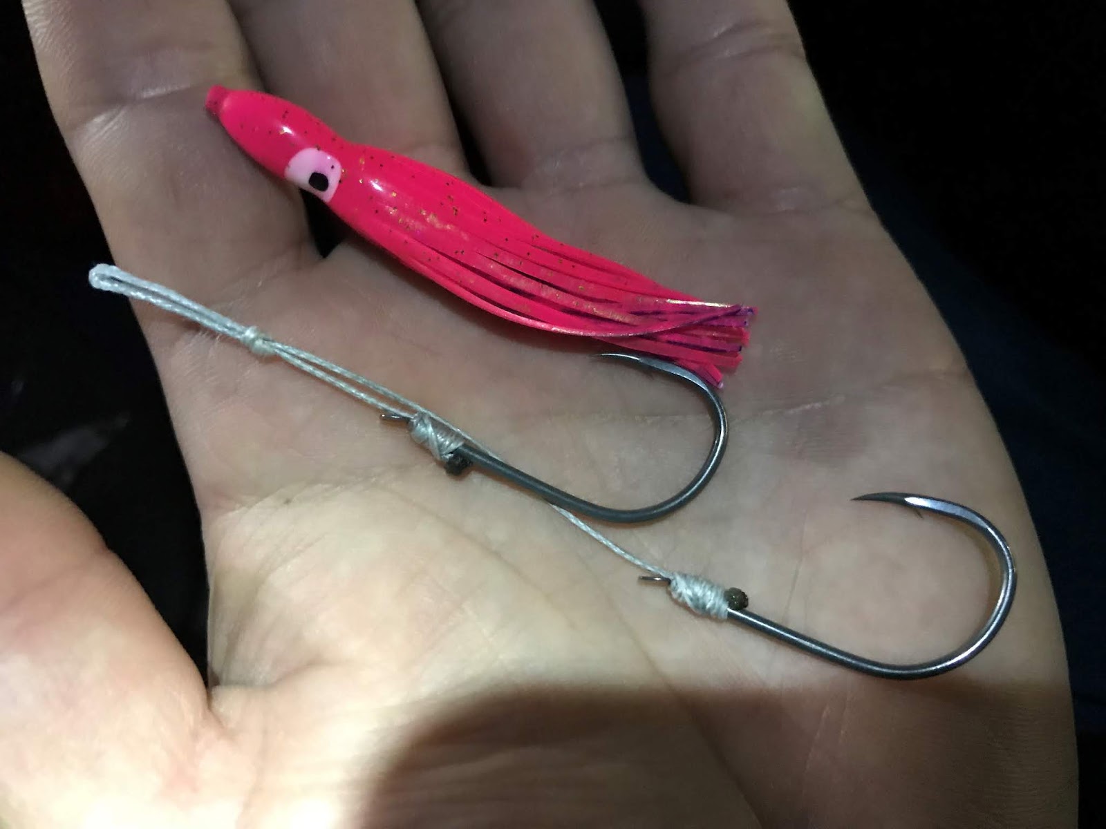 怪魚と世界の旅ノート サケ釣り２０１８ その３