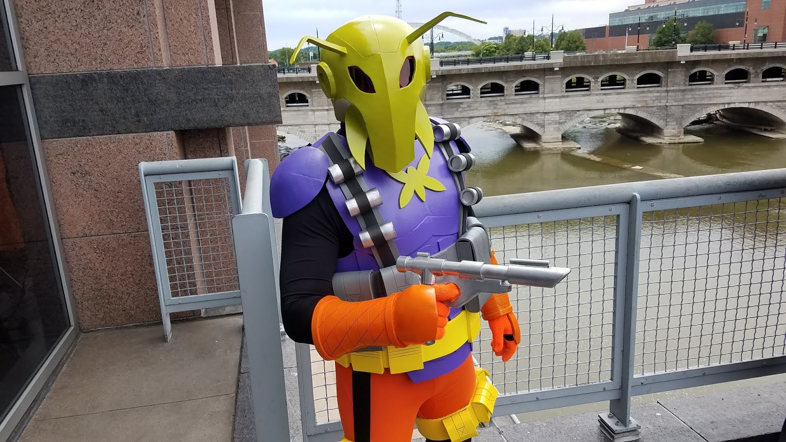 Killer Moth Appreciation and Preservation Society