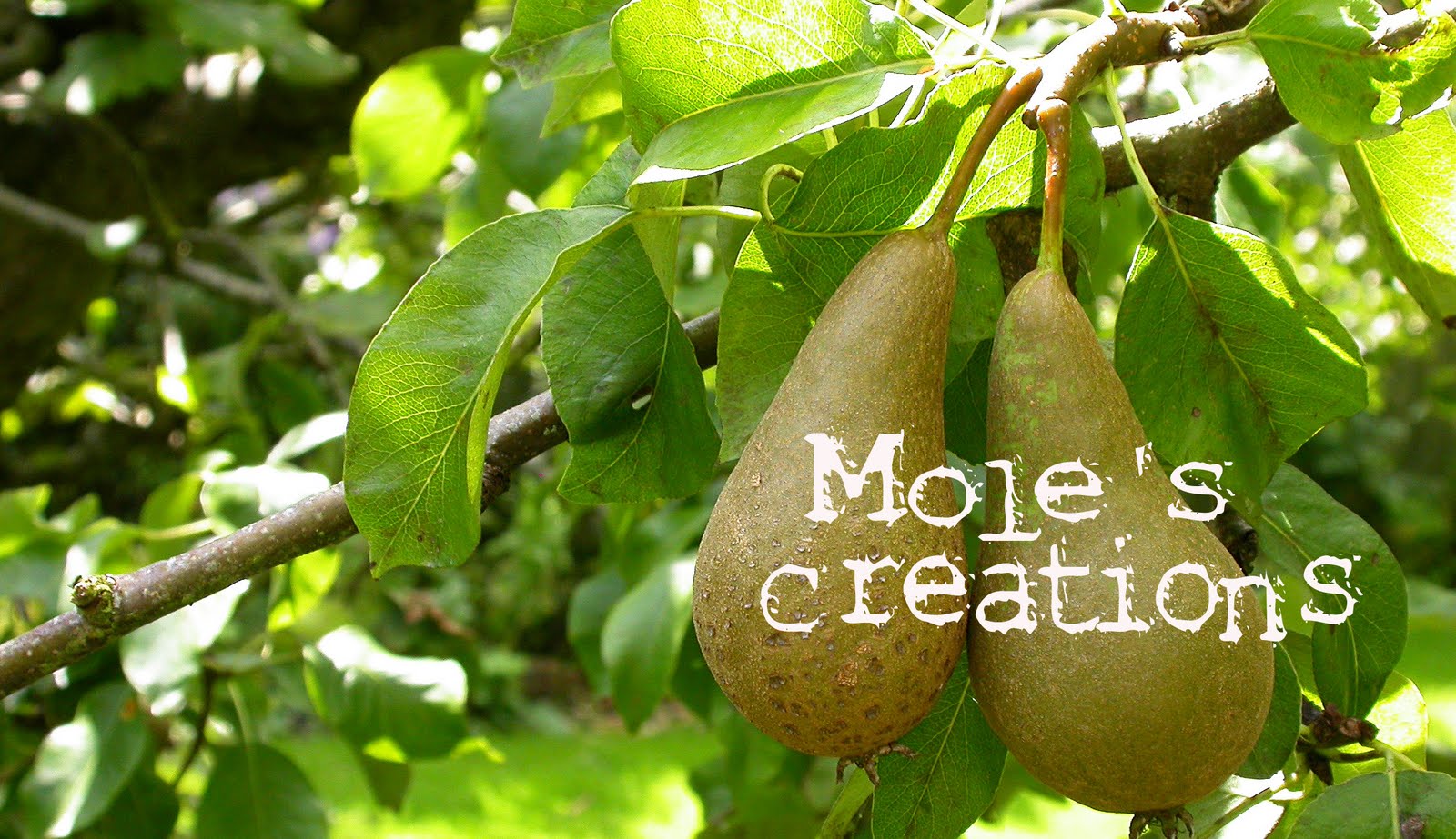 Mole's Creations