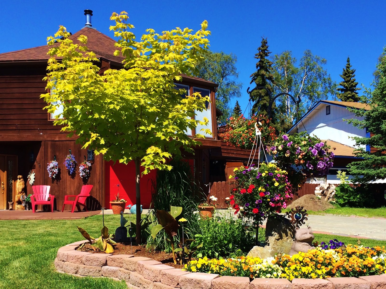 Swallowed Fly Crusades Hanging Baskets in Anchorage