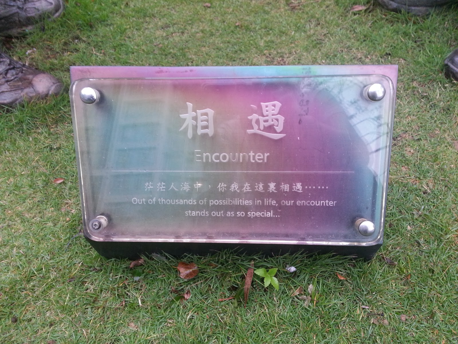 Hong Kong Experience