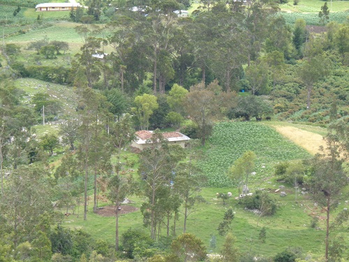 centro poblado