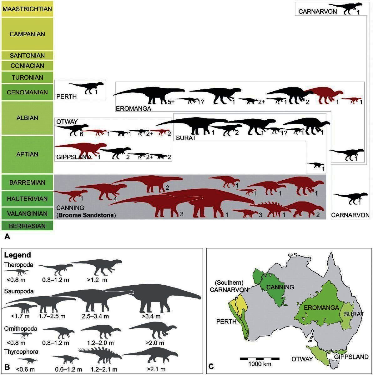 World's Biggest Dinosaur Footprint Found in 'Australia's Jurassic Park