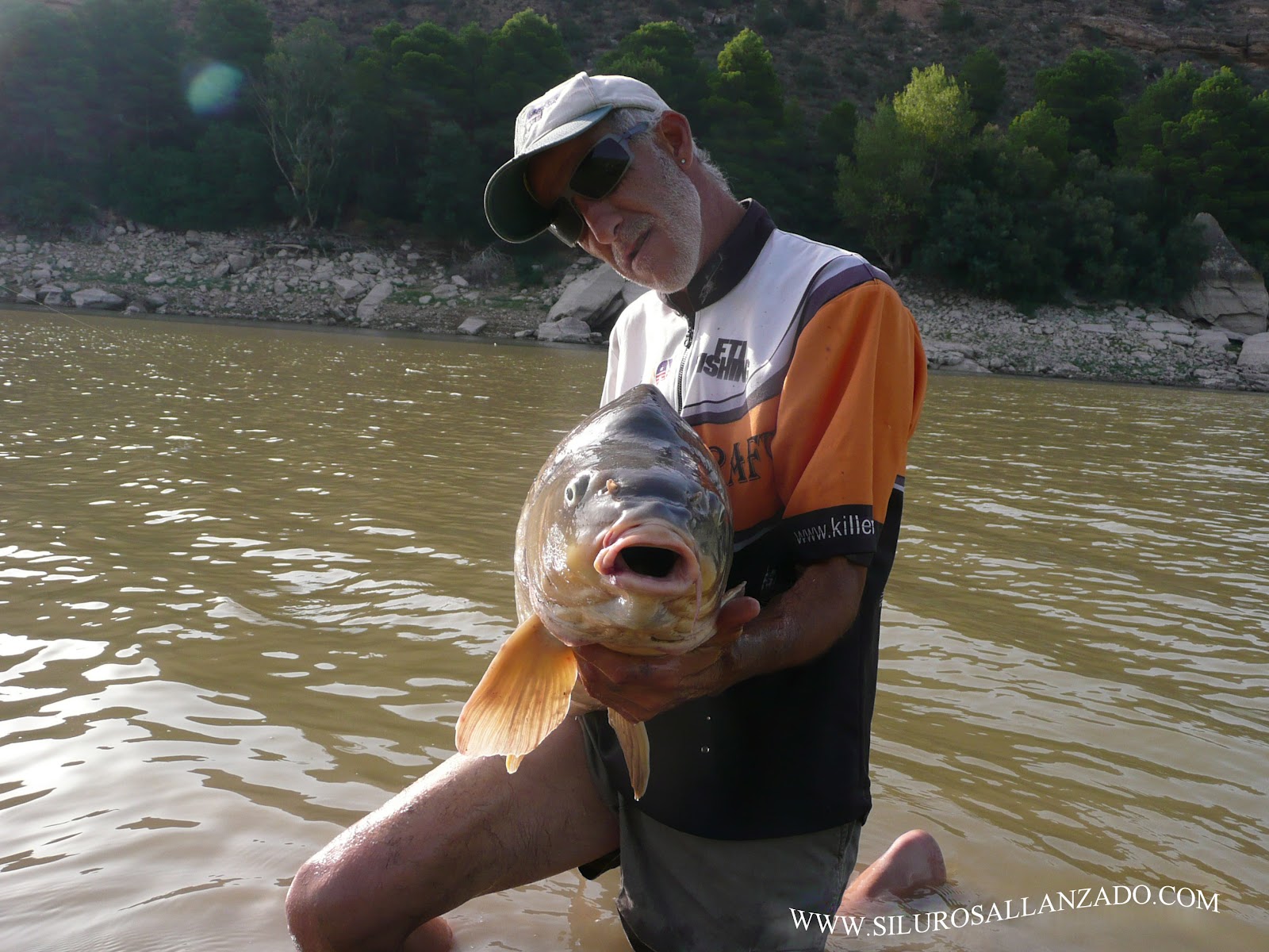 PESCA CON GUÍA DEL SILURO AL LANCE Y PELLETS EN MEQUINENZA Y RÍO EBRO