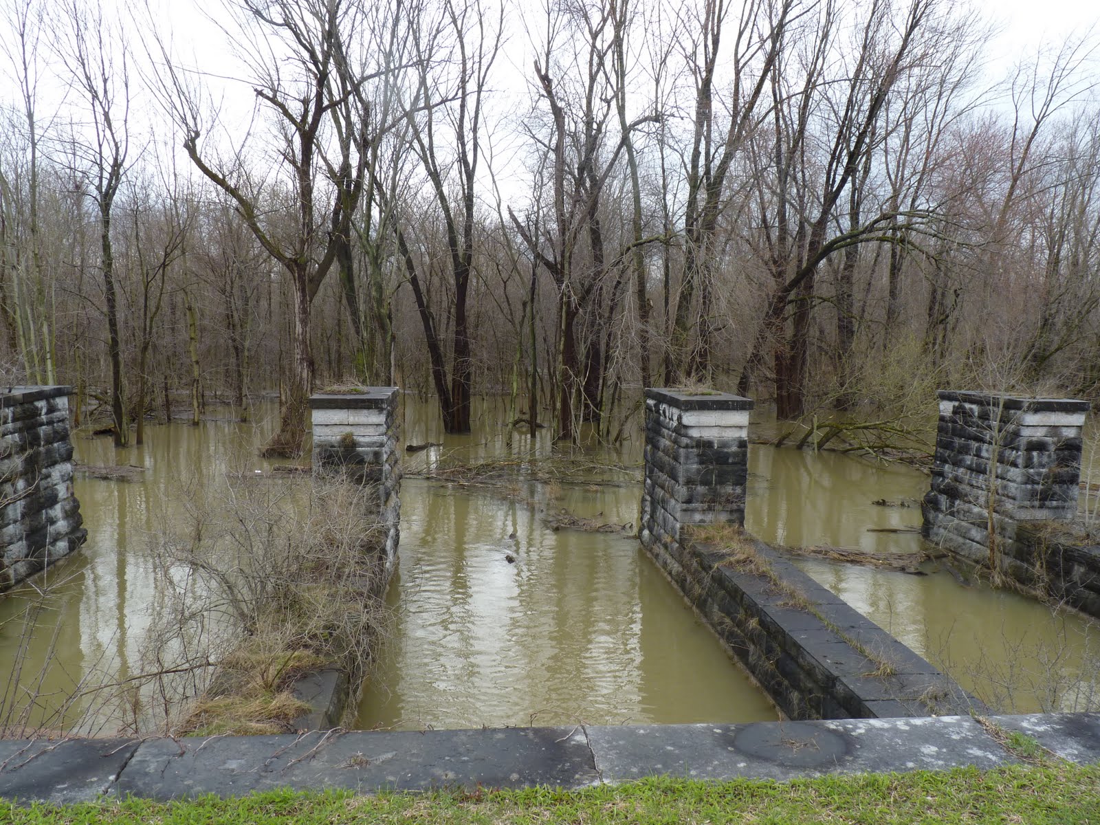 Montezuma Heritage Park Montezuma, NY SPOTTED TODAY IN MONTEZUMA....