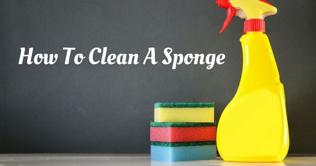 Donna Knows Best Keep your sponges clean