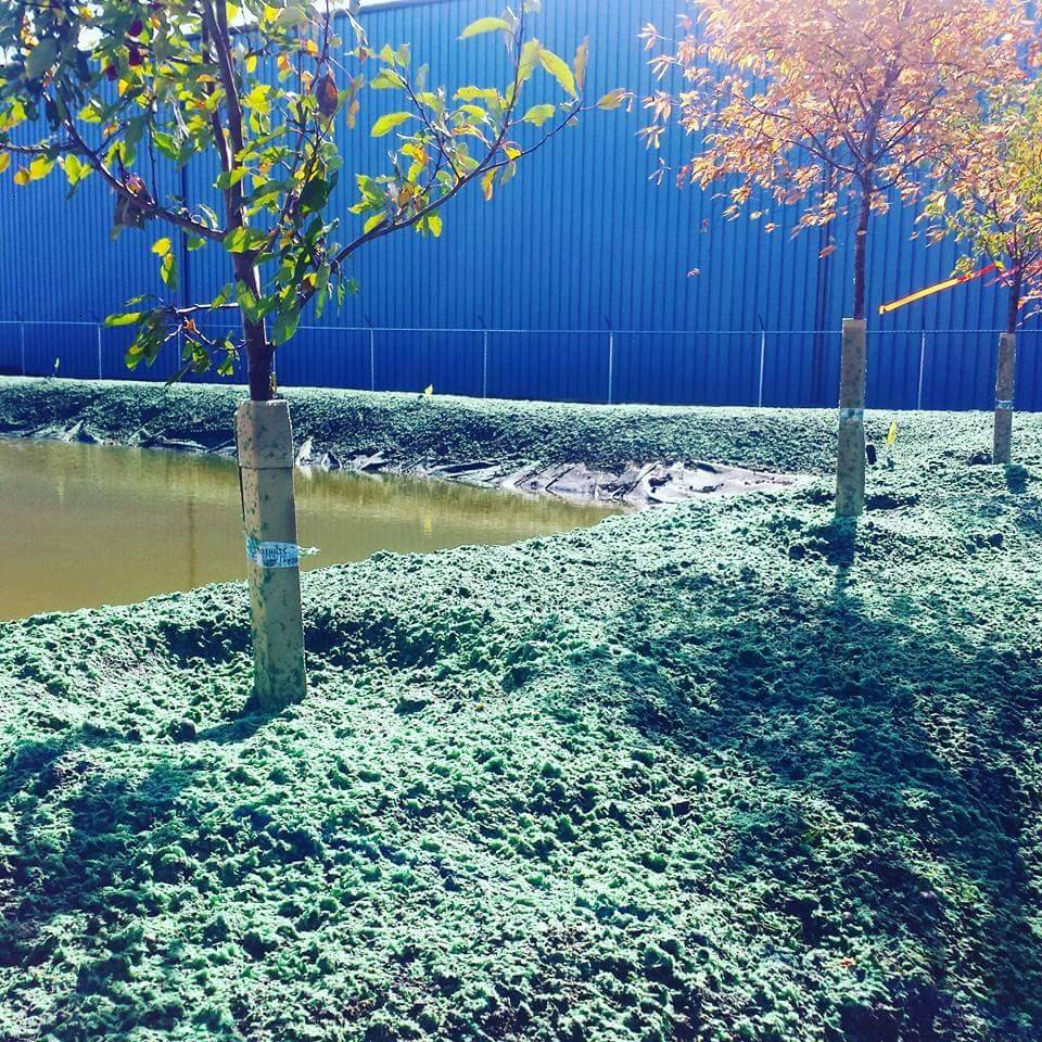 Calgary Lawn Solutions