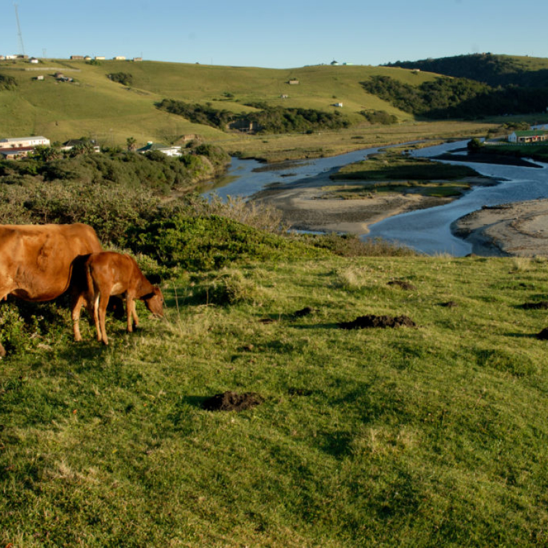 Edgars Travel Club is offering Edgars Club members 9 amazing holidays