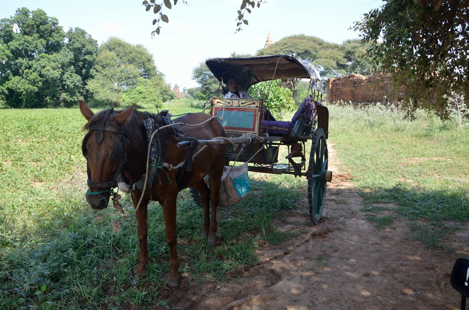 Coche de caballos de Bagán Coche de caballos de Bagán, Myanmar