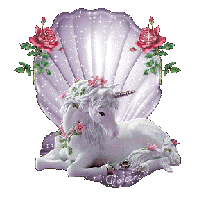 EL RECUERDO DEL UNICORNIO ~ Fundación Q´inti