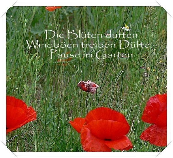 Gedankenreise Juni 2016