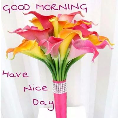 Animated Good Morning Images for Whatsapp