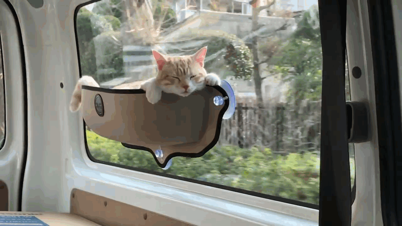 The Cat Hammock - This Is What Your Cat & You Will Love It  - Handpickr.com