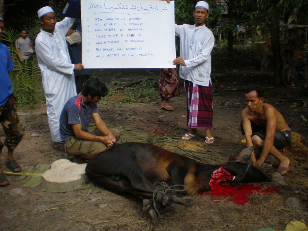 Korban Infak Kemboja: Korban Kemboja