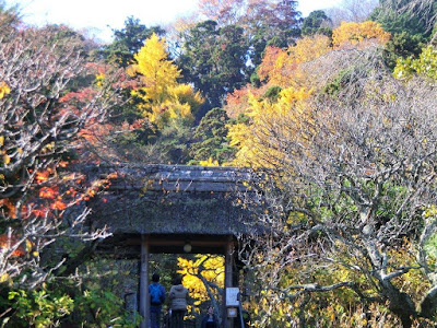  東慶寺の紅葉