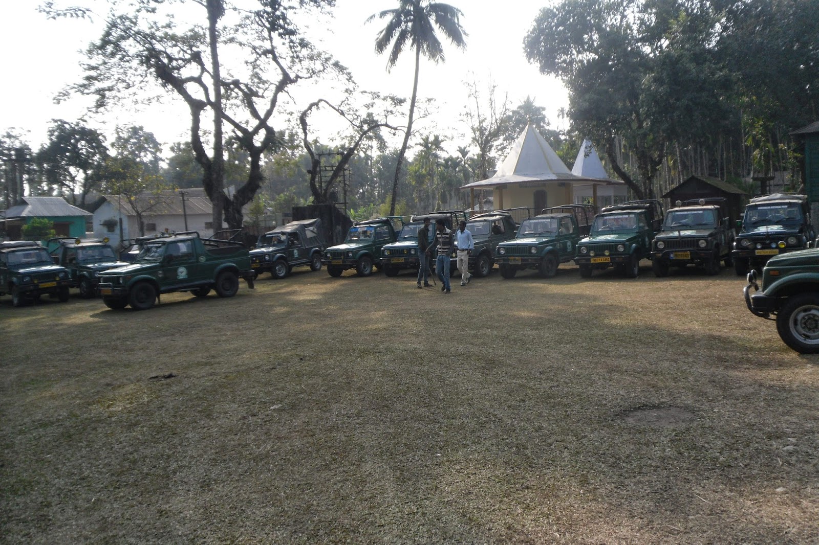Gorumara National Forest Safari Car Stand Dooars Lataguri Division