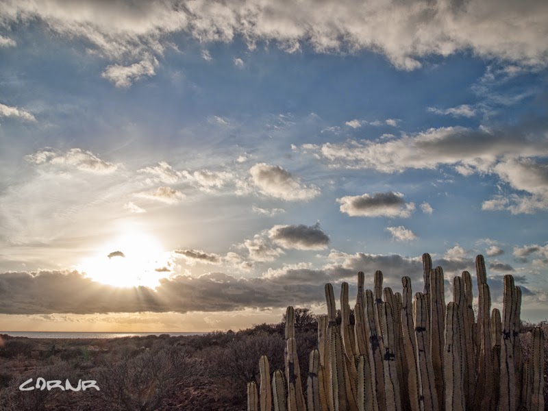 Tenerife