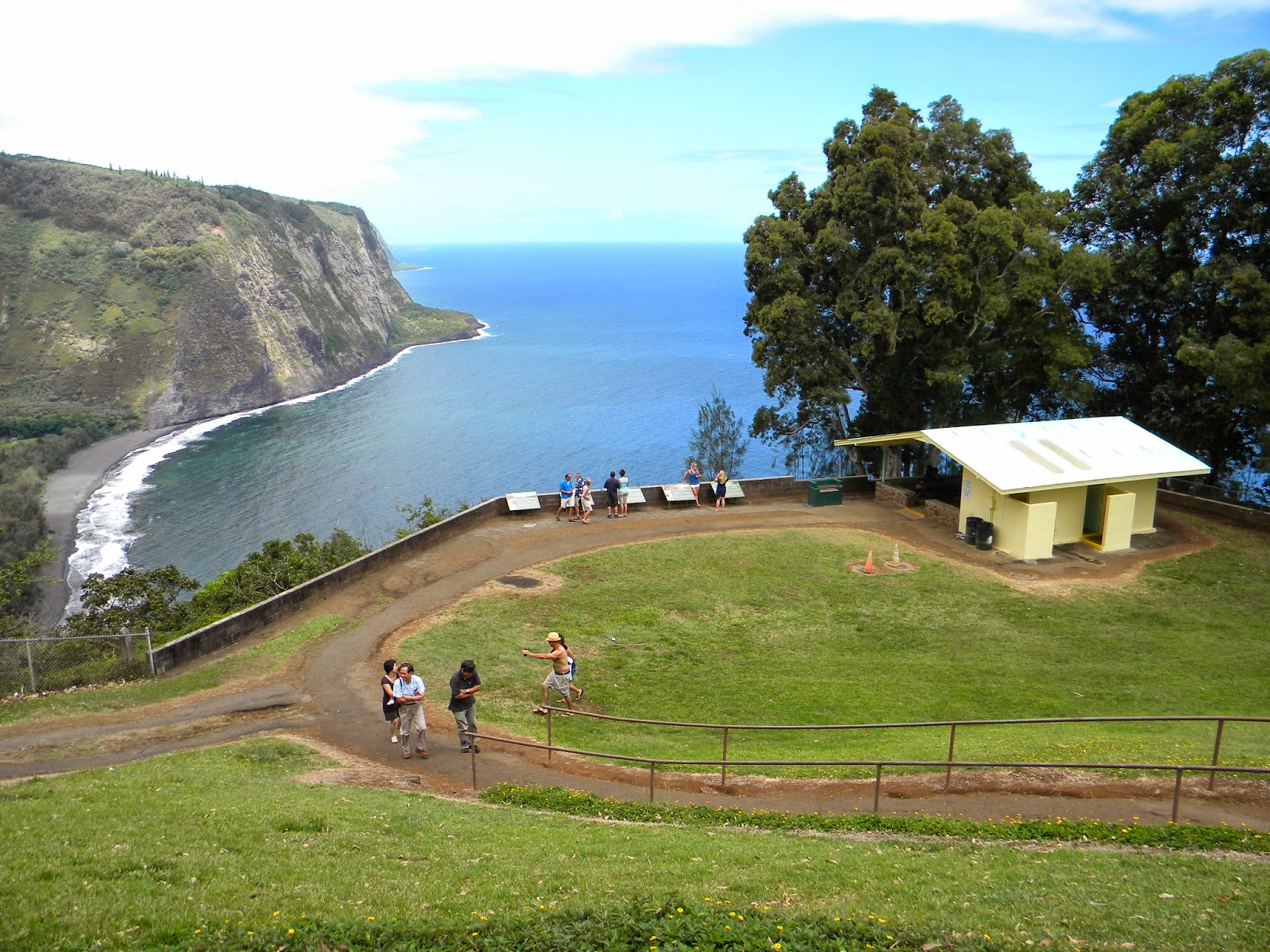 All Hawaii News Fear the frog coquis invade Oahu, bill limits state