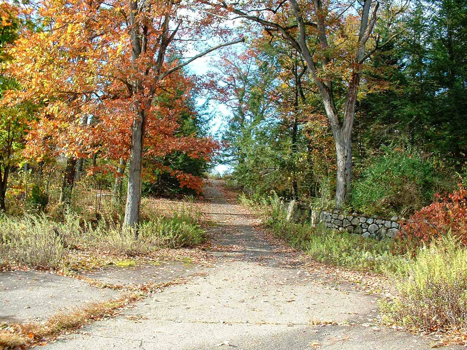 Frank's Place Rocky Glen Park