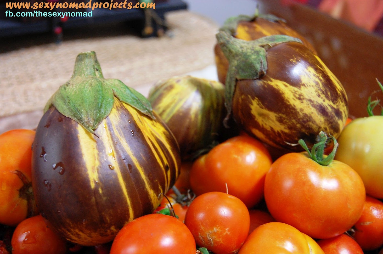 Sexy Nomad's Projects My Egglants are Turning Yellow