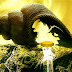 Shell Fantasy Escape