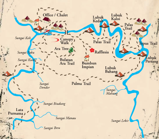 Taman Negara Kelantan,National Park Kuala Koh, Kelantan ~ Travel Hikers