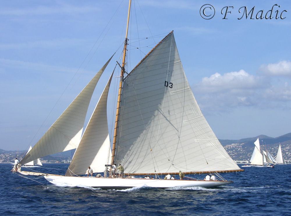 Voilier à un mât (voile aurique ou carrée) TUIGA (D 3)