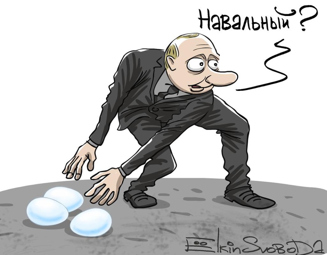 сергей ёлкин карикатуры путин.